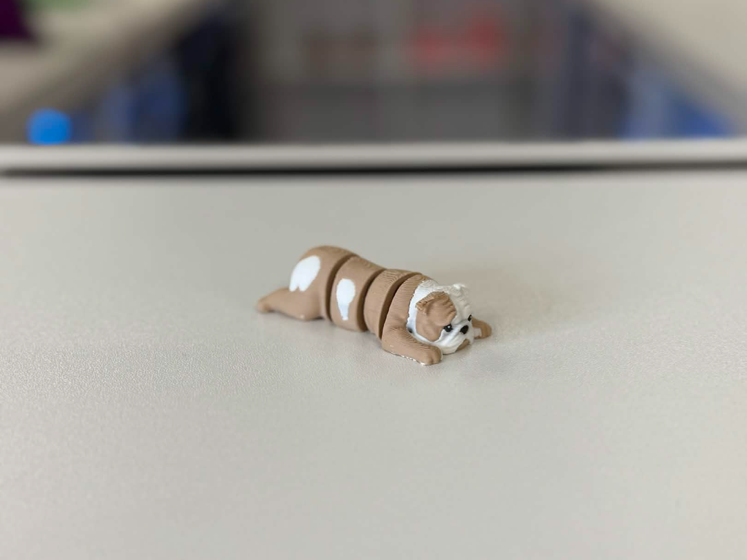 Bulldog Flexi Keychain (AMS)