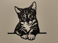 Cat Wall Art