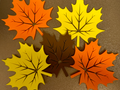 Coaster Collection #3 - Maple Leaf Halloween