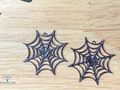 Spider Web with Heart Earrings