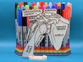 Schoulder Anatomy Coloring Craft Education