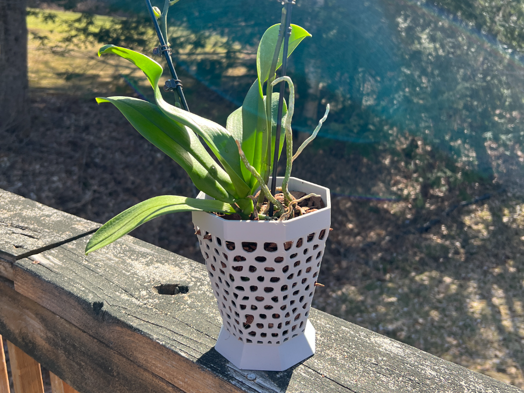 Orchid Air Vase