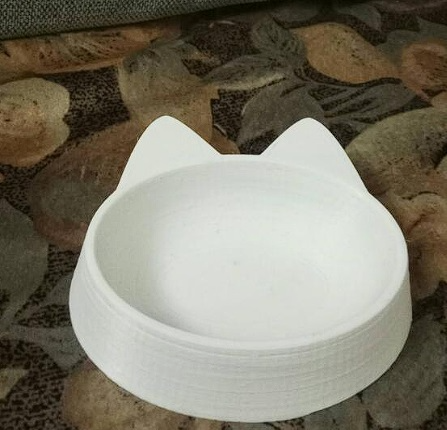 cat bowl