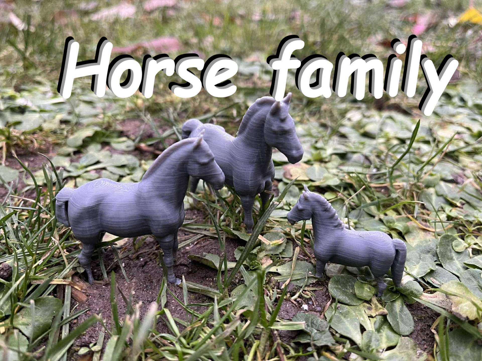 Horse family on the farm