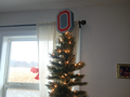 Ohio State Tree Topper
