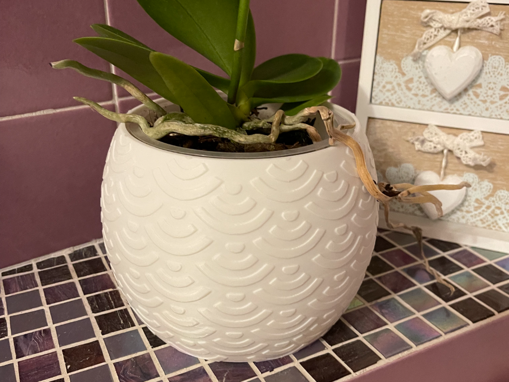 decorative vase