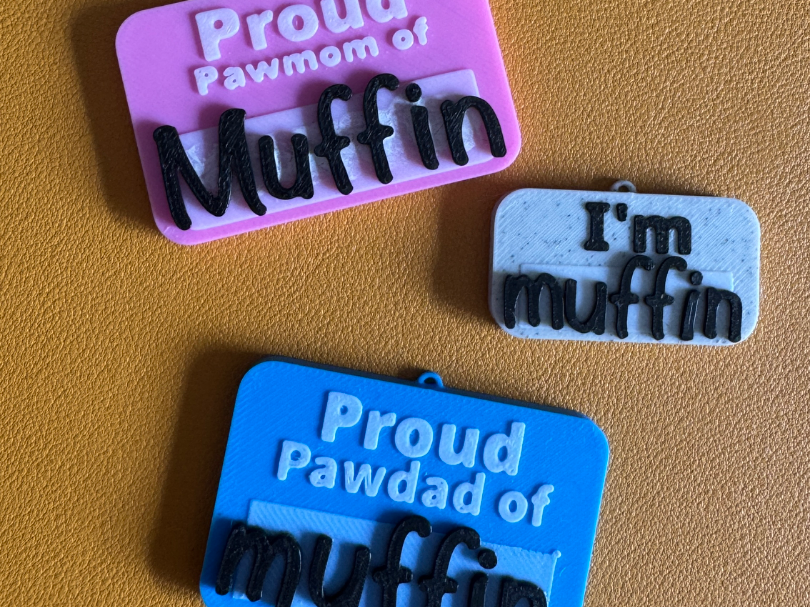 Pet Collar Tag