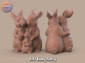 Cute Bunny Family