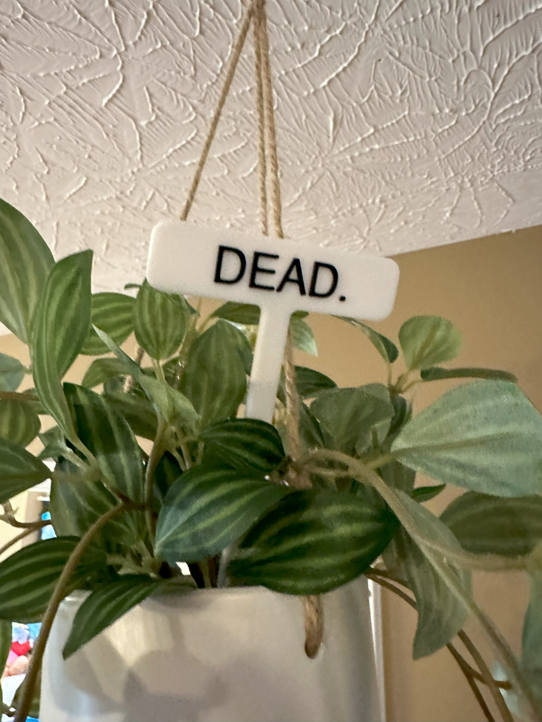Funny Plant Markers