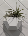 Wall planter