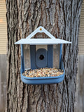 BirdBrain: Smart Bird Feeder - DIY Bird Buddy