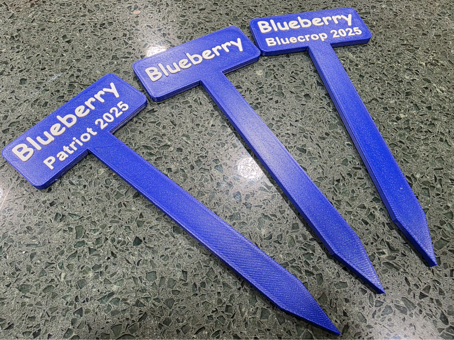 Editable Large Plant Tags