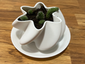 Modern Star Planter