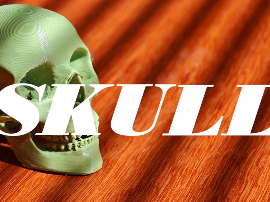 Skull