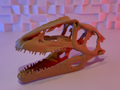 Giganotosaurus Skull (10-25 Grams)