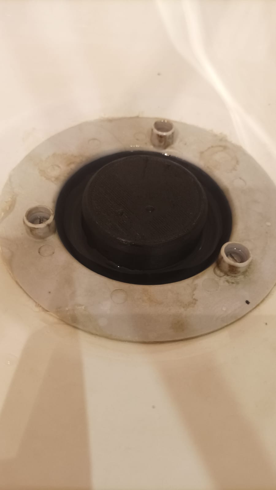 Shower trap cap