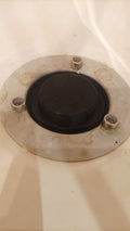 Shower trap cap