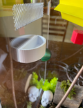 spider water/food bowl.