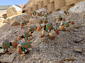 Mini Bohrak Swarm - Pahrak (Bionicle)