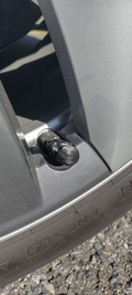 The Rock Tire Valve Stem Cap