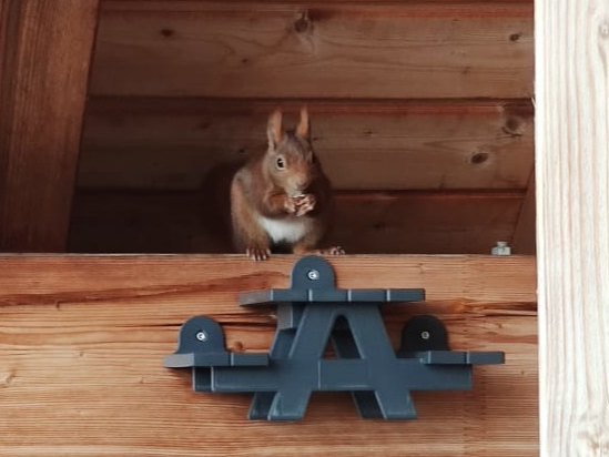 Picnic Table Squirrel Feeder