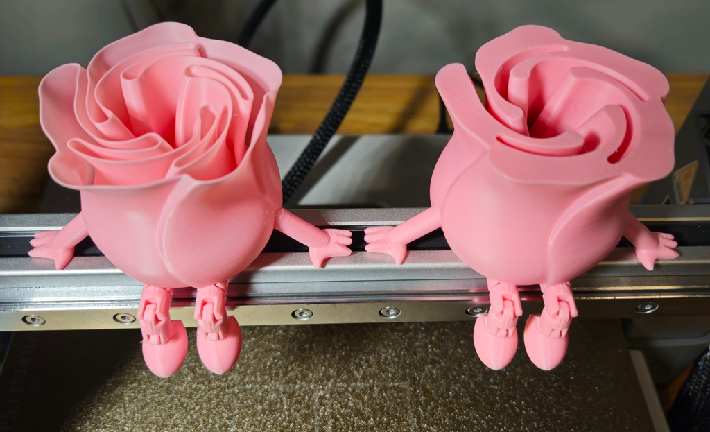 Rose Buddy Articulating