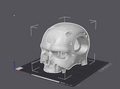 Terminator Inspired Skull