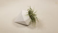 8 Side Diamond Air Plant Pot