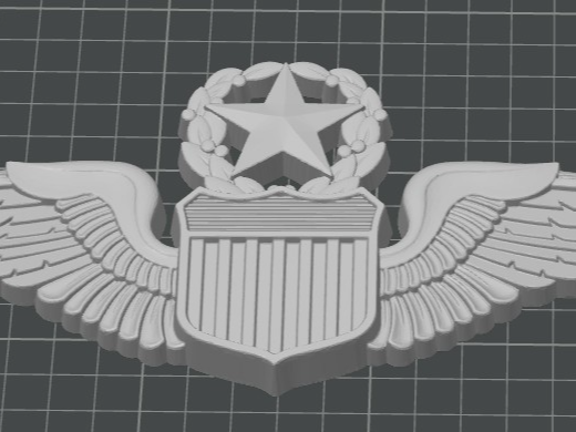 USAF PILOT WINGS BADGE MASTER