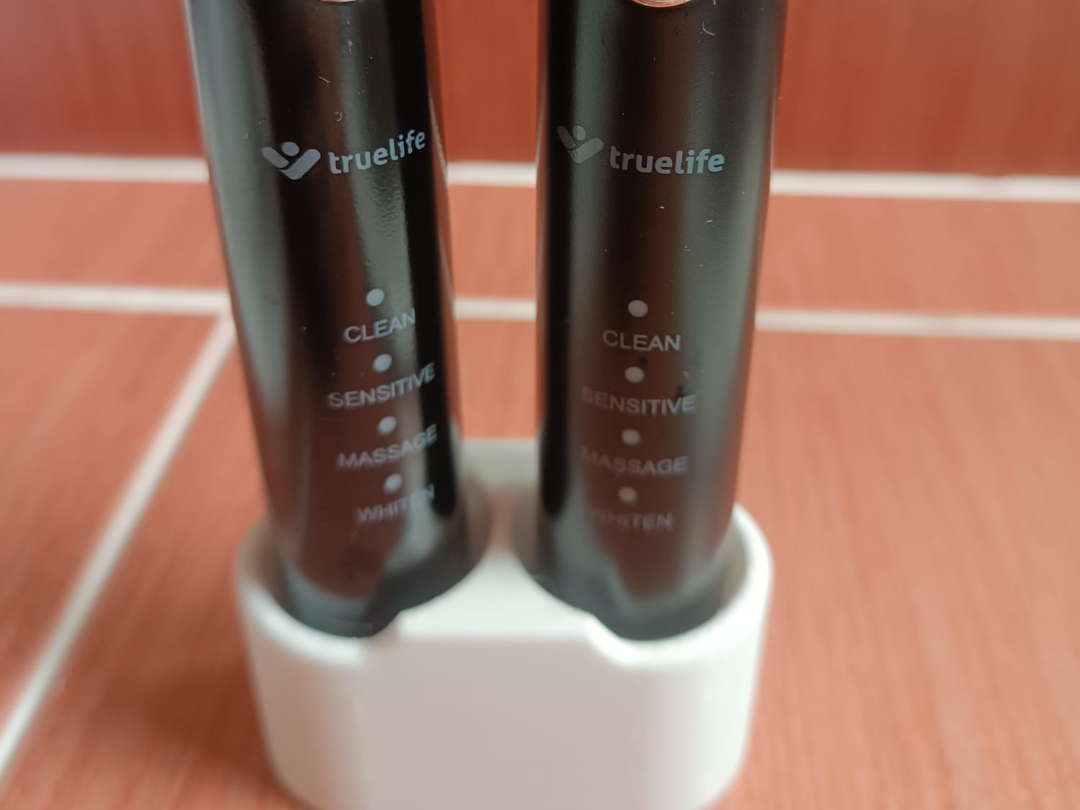 Stand for electric brushes