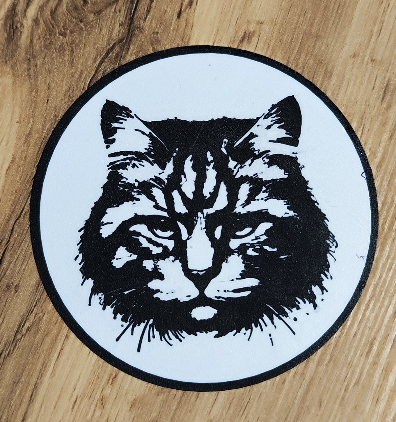 Coaster Cat