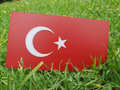 Turkey Flag