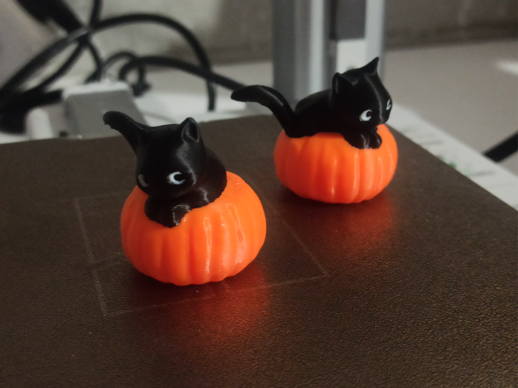 Halloween cat on pumpkin
