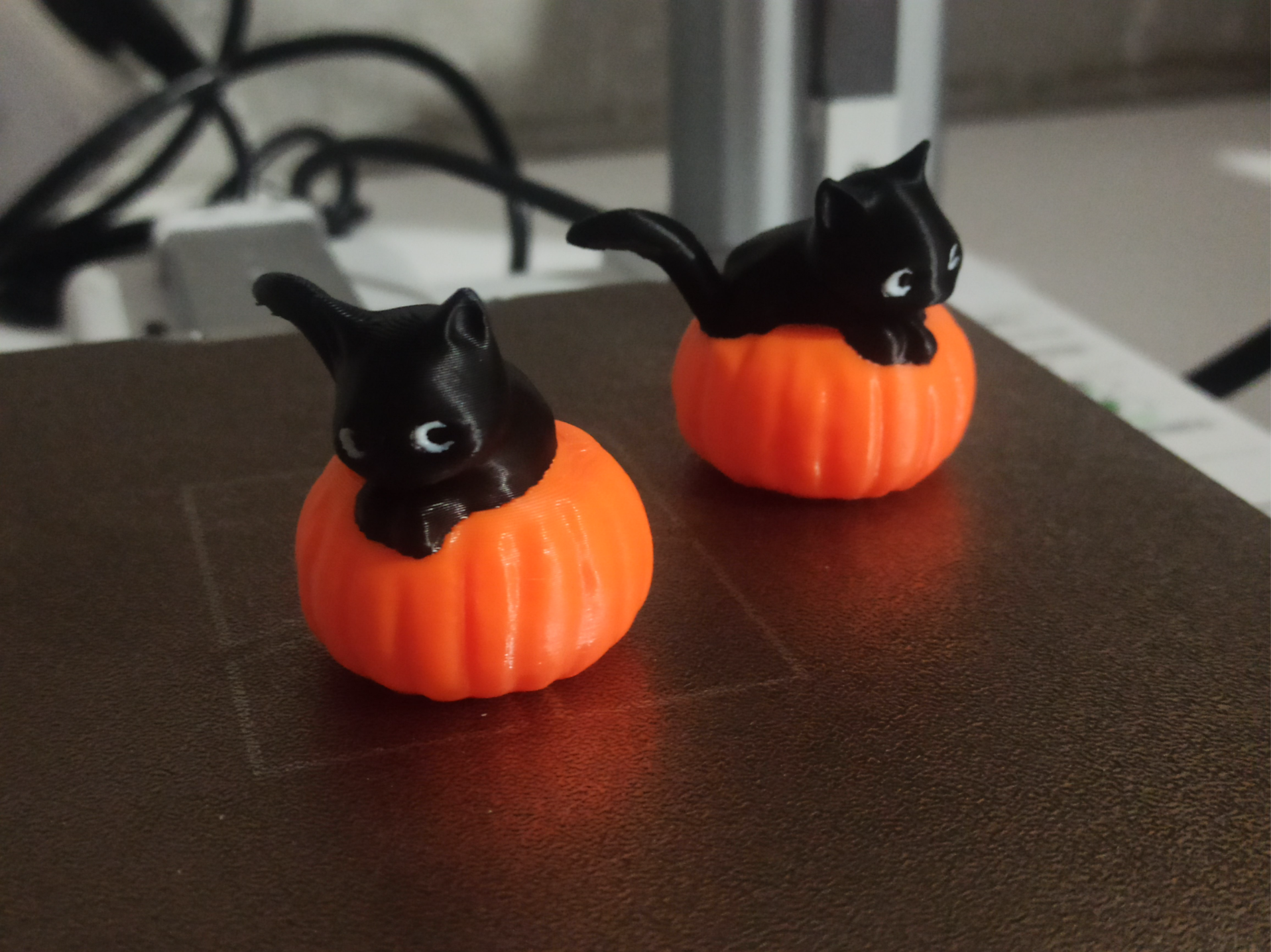 Halloween cat on pumpkin