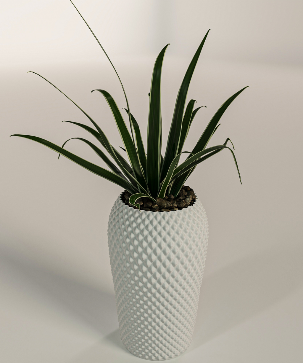 Elegant Vase (Vase Mode)