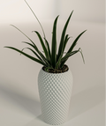 Elegant Vase (Vase Mode)