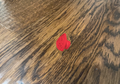 Ferrari logo Croc jibbet