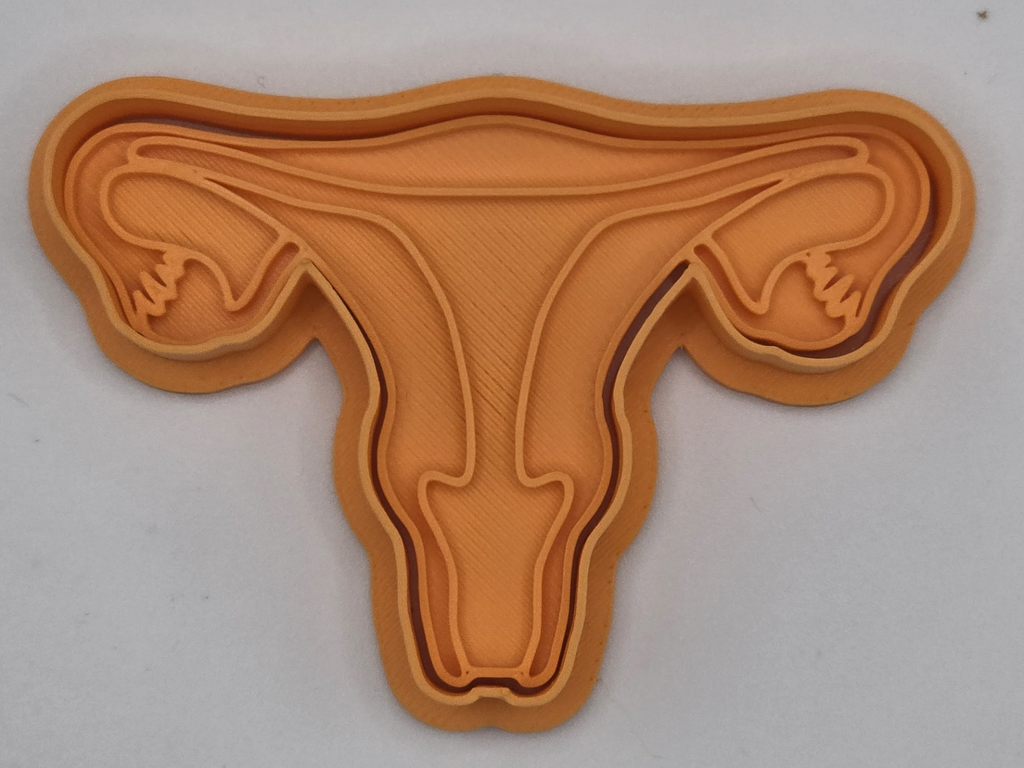Uterus Anatomy Woman Cookie Cutter Playdoh Stamp