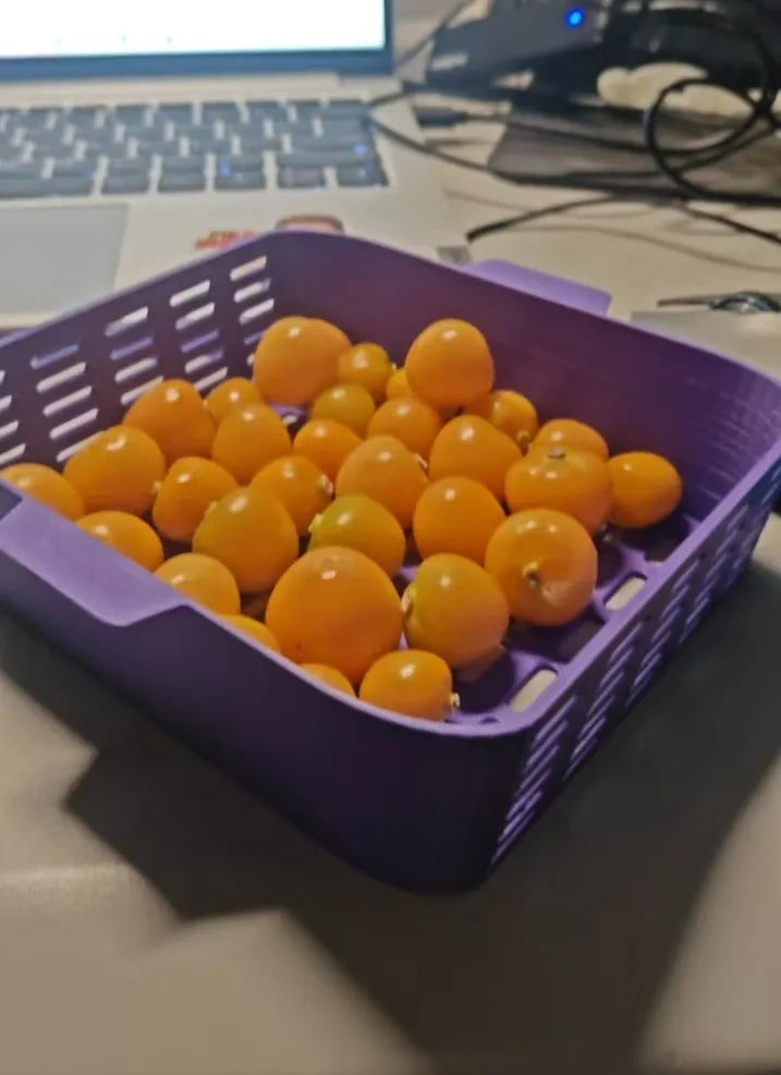 小水果篮