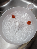 Automatic vegetable and fruit washer- no supports and no assembly required (LARGE version)