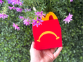 Unhappy Meal planter