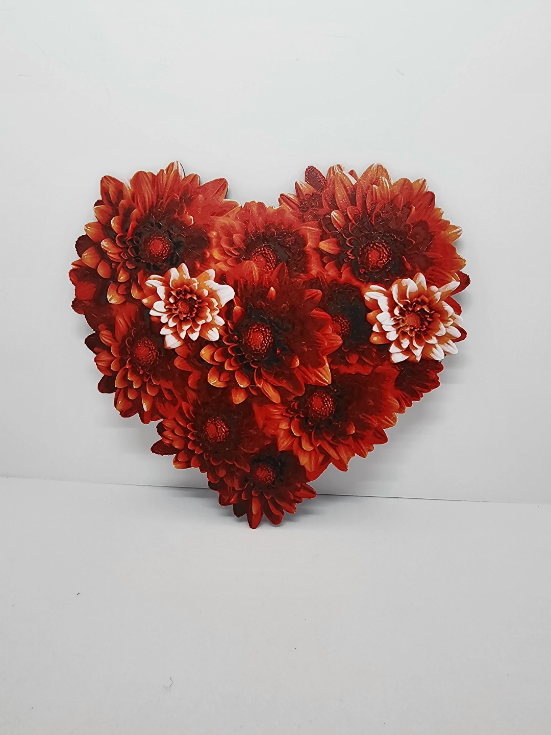 Gerber Daisy Flower Heart