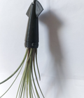 Squid Planter