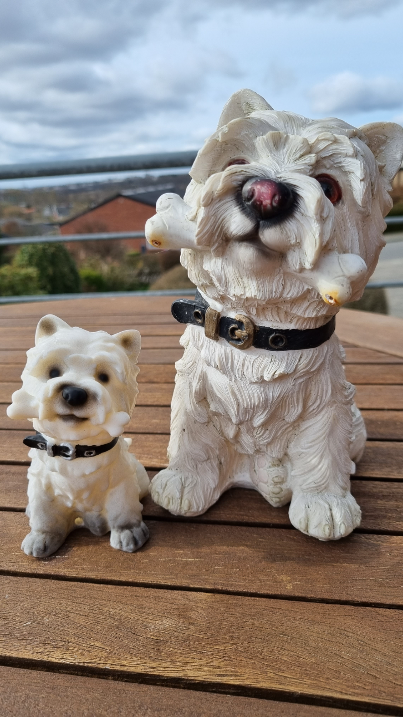 Dog with bone