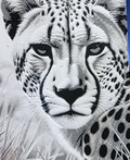 Cheetah (Guepardo) Hueforge
