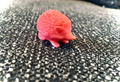 Little Hedgehog