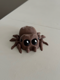 Lucas the spider Multicolor