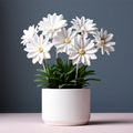 Simple Plant Plant