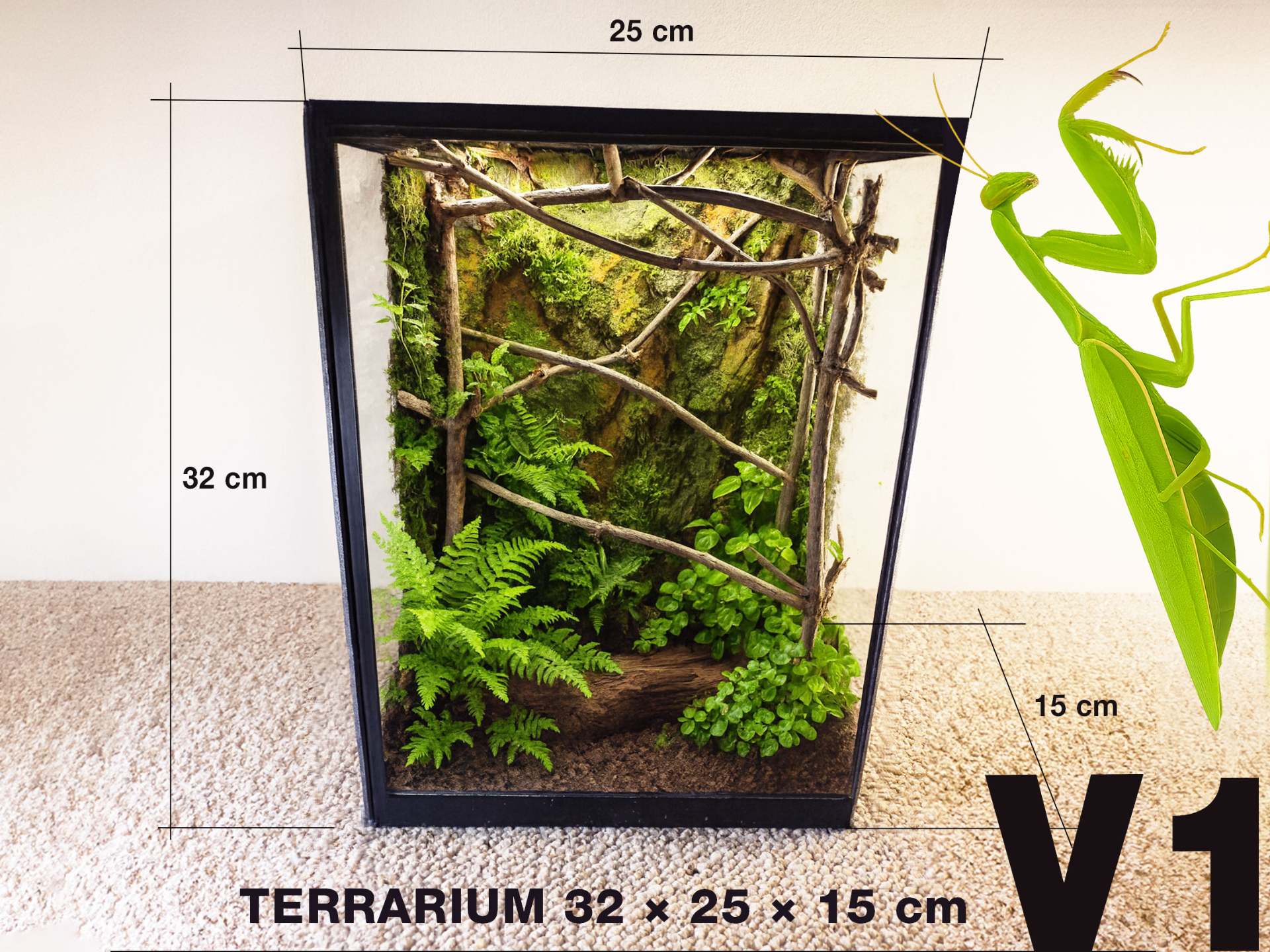 Terarrium 32 × 25 × 15 cm - Insectarium