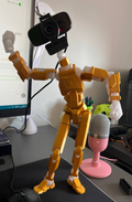 Dummy 13 Version 1.0, 256% scaled, webcam neck